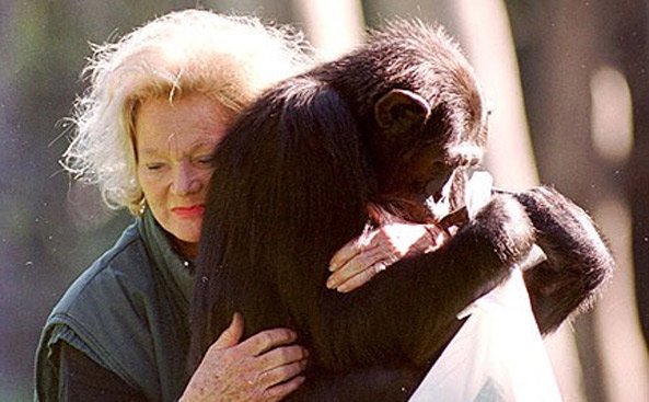 Choáng với tài sản 5 thú cưng giàu nhất thế giới